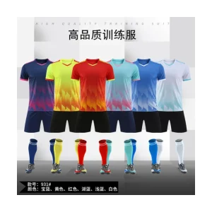 SMTUL-2928252 Multi-Function Soccer Training Jersey